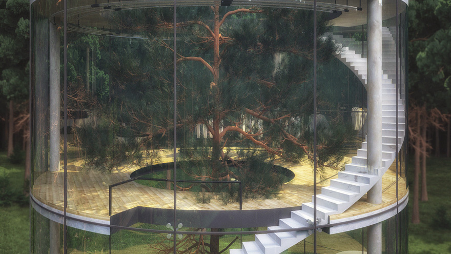 Aibek Almassov Tubular Glass House Built Around Tree 6