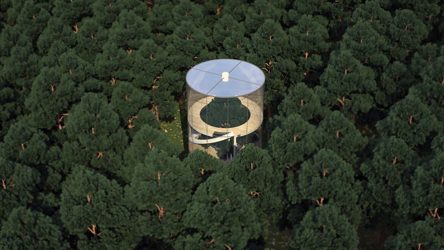 Aibek Almassov Tubular Glass House Built Around Tree 7