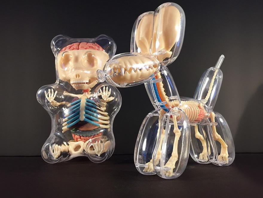 Anatomical Animal Balloons Jason Freeny