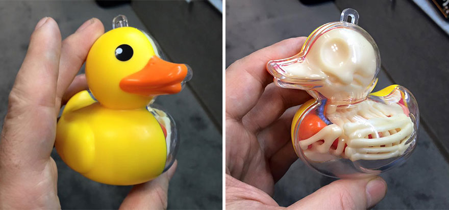 Anatomical Animal Balloons Jason Freeny 3