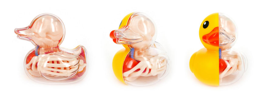 Anatomical Animal Balloons Jason Freeny 4