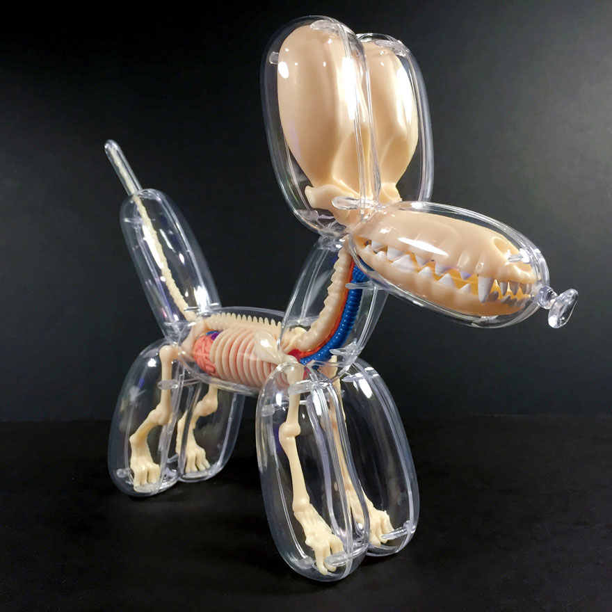 Anatomical Animal Balloons Jason Freeny 5