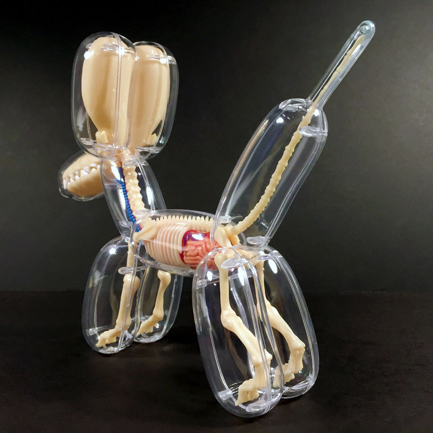 Anatomical Animal Balloons Jason Freeny 6