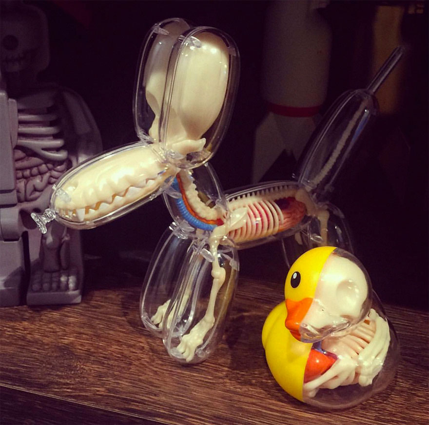 Anatomical Animal Balloons Jason Freeny 8