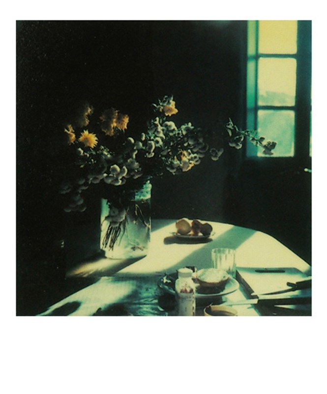 Andrei Tarkovsky Polaroids 