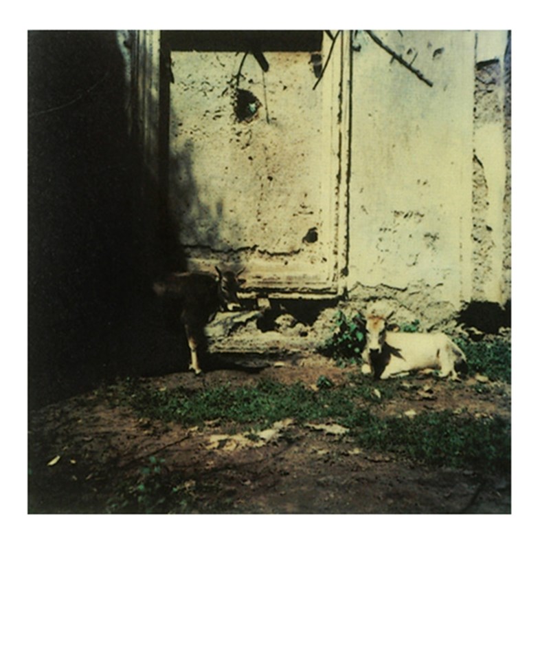 Andrei Tarkovsky Polaroids 10