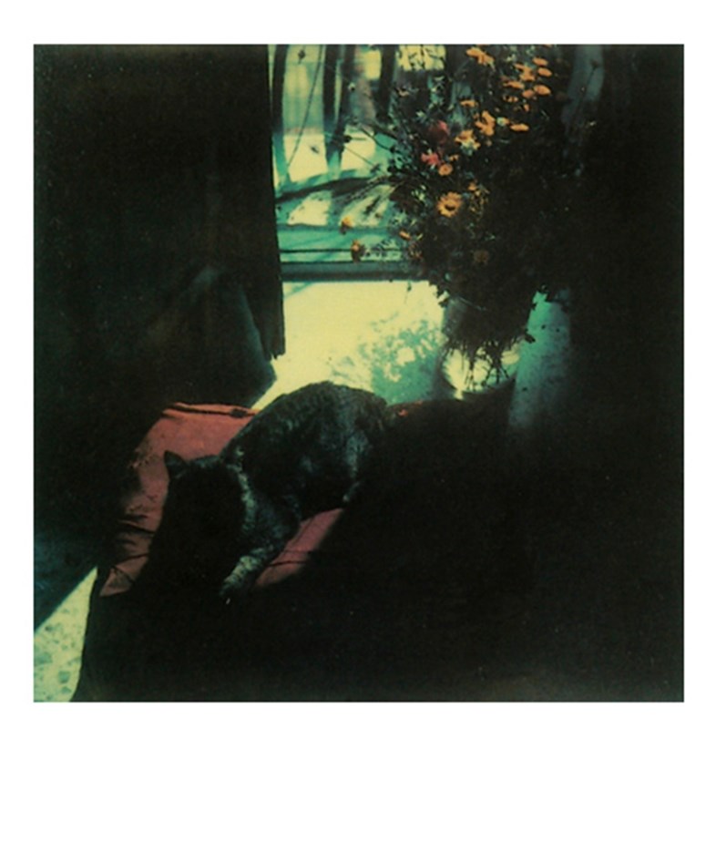 Andrei Tarkovsky Polaroids 12