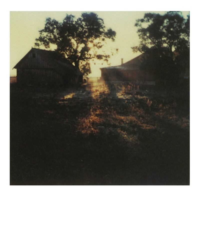 Andrei Tarkovsky Polaroids 3