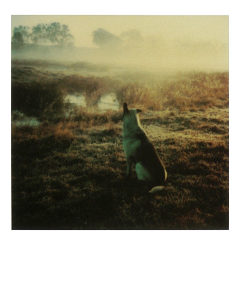 Andrei Tarkovsky Polaroids 4