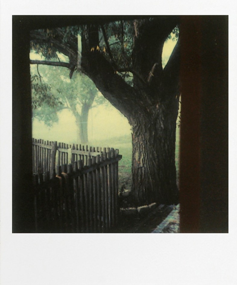 Andrei Tarkovsky Polaroids 5