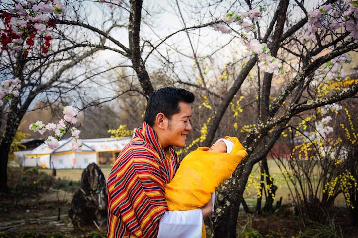 Bhutan trees 4