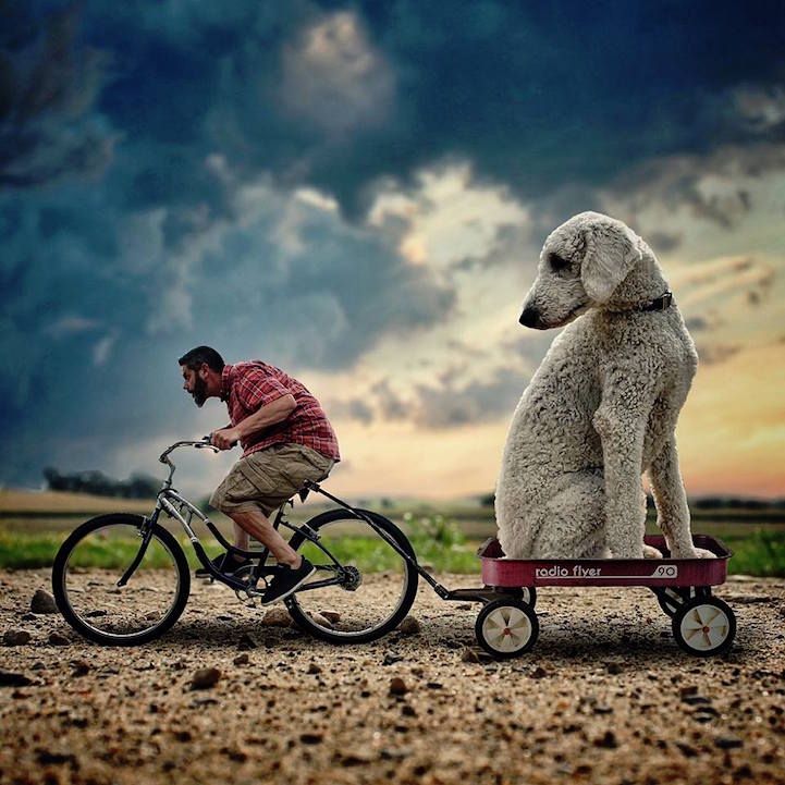 Christopher Cline gigantic dog