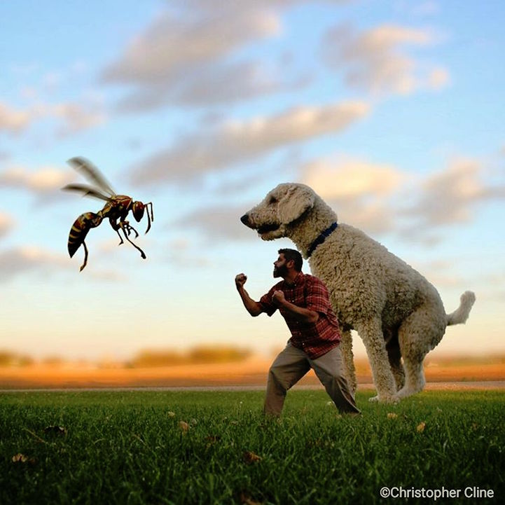 Christopher Cline gigantic dog 11