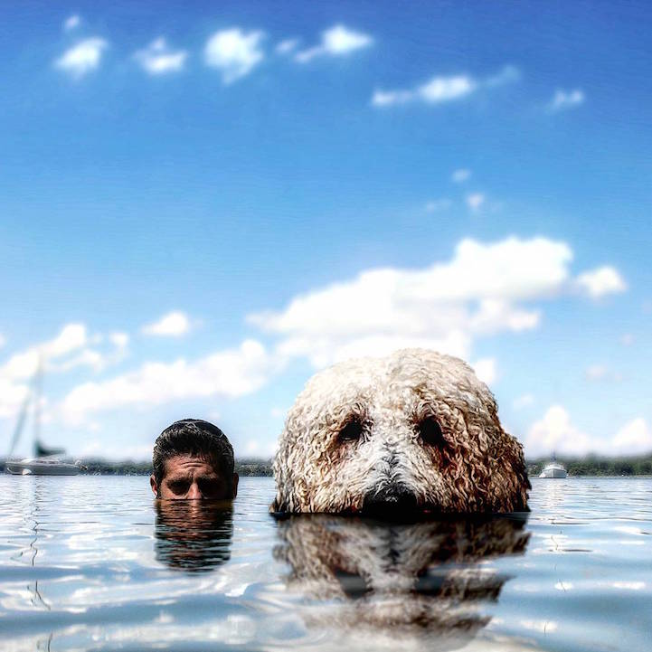 Christopher Cline gigantic dog 13