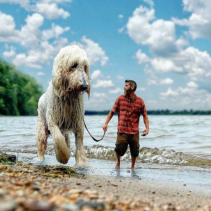 Christopher Cline gigantic dog 2