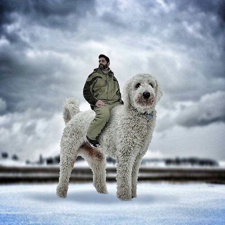 Christopher Cline gigantic dog 6