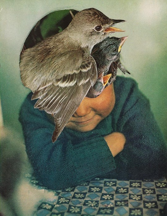 Collage inspiring Cultura Inquieta the best2