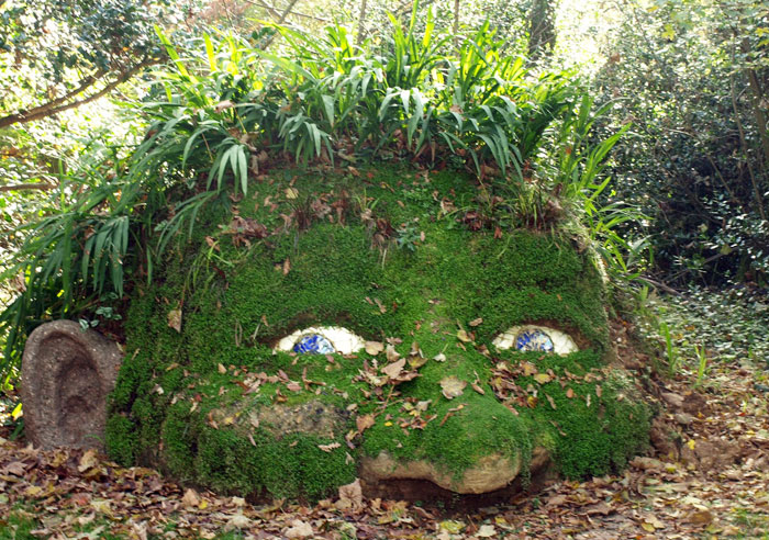 Enchanting Giants The Lost Gardens of Heligan10