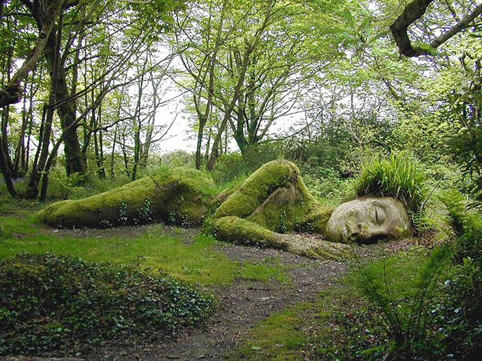 Enchanting Giants The Lost Gardens of Heligan2