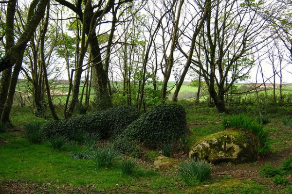 Enchanting Giants The Lost Gardens of Heligan3