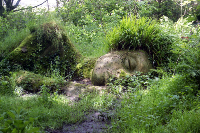 Enchanting Giants The Lost Gardens of Heligan8