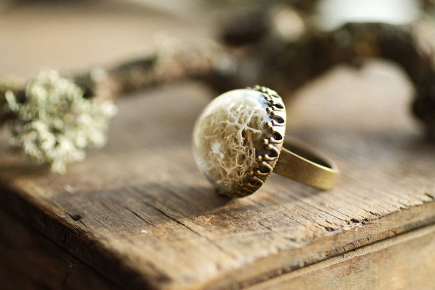 Kay Bells joyas plantas terrario 9