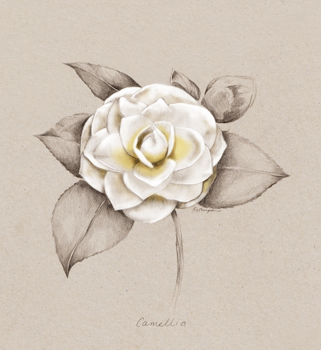 Kelly Thompson sensual illustration Cultura Inquieta 8