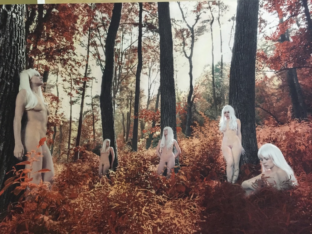 Shae DeTar nude surreal Cultura Inquieta5