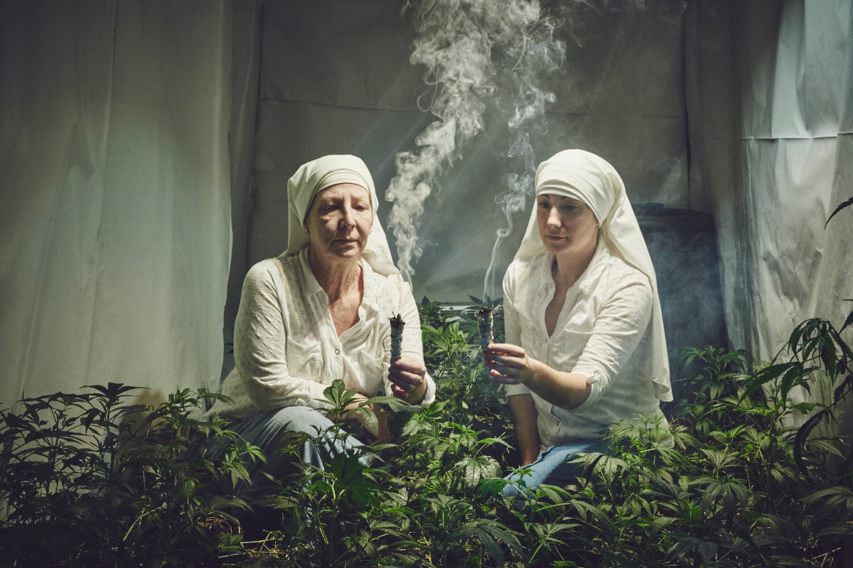 Sisters of the Valley Hermanas del Valle marihuana weed 2