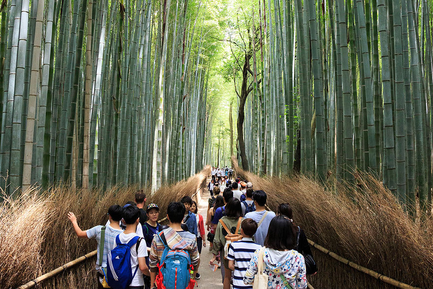 Travel Expectations Vs Reality 32