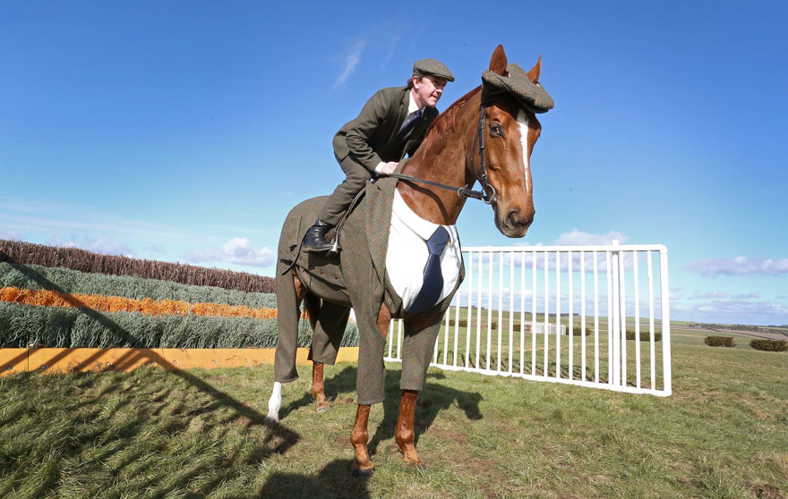 William Hill Cheltenham Festival funny horse3