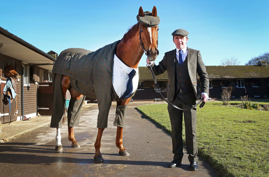 William Hill Cheltenham Festival funny horse4