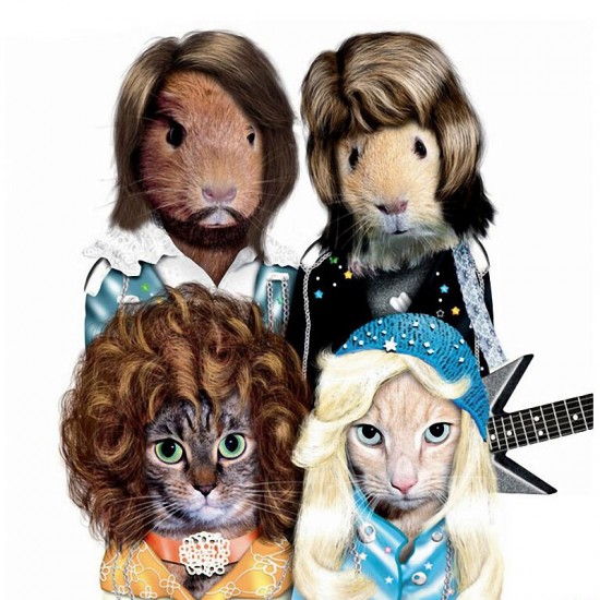 animal culturainquieta11