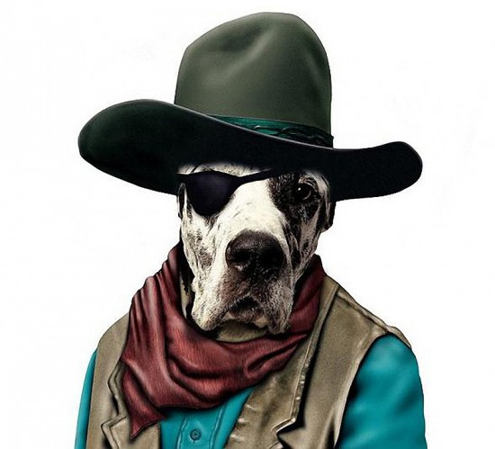 animal culturainquieta17