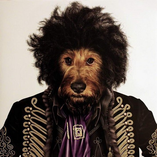 çanimal culturainquieta15