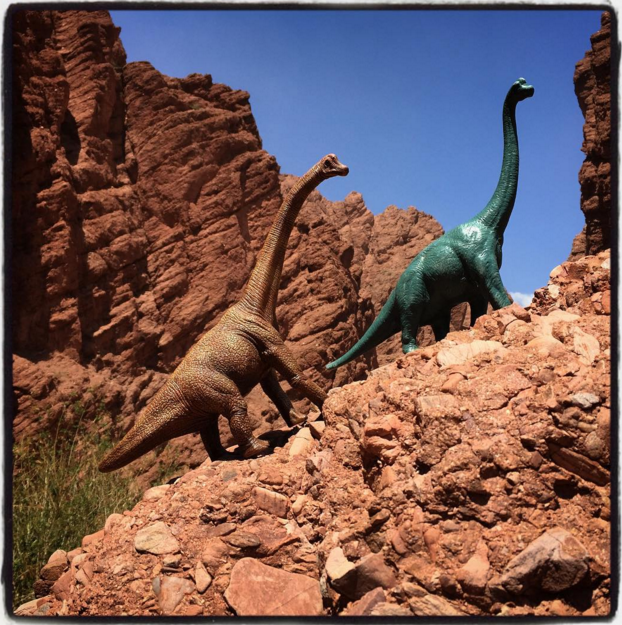 dinosaurs photographer Jorge Saenz 3