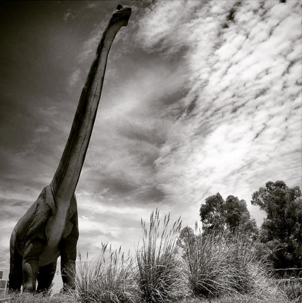 dinosaurs photographer Jorge Saenz 4