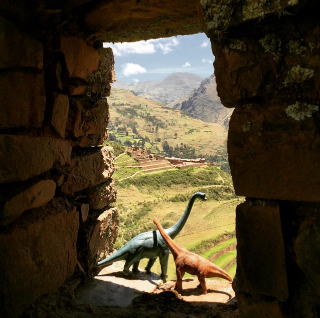 dinosaurs photographer Jorge Saenz 6
