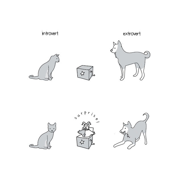 introvert introvertido6