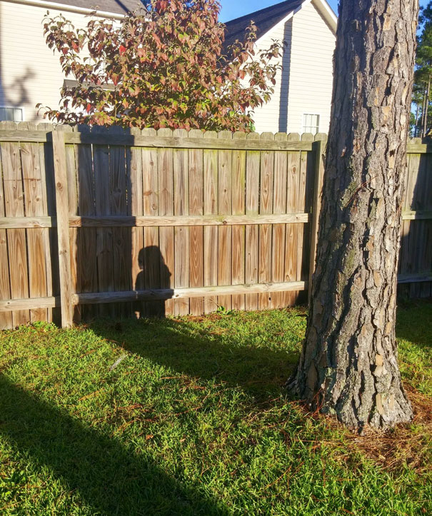 juego escondite humor hide and seek8