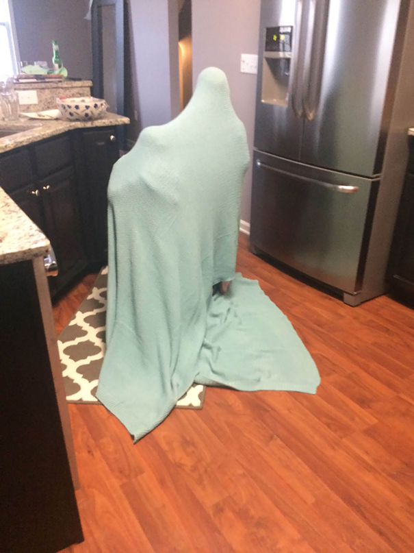 juego escondite humor hide and seek9