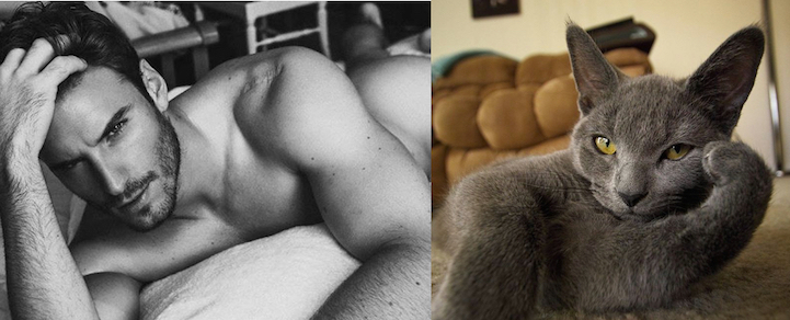 sexy men cute cats
