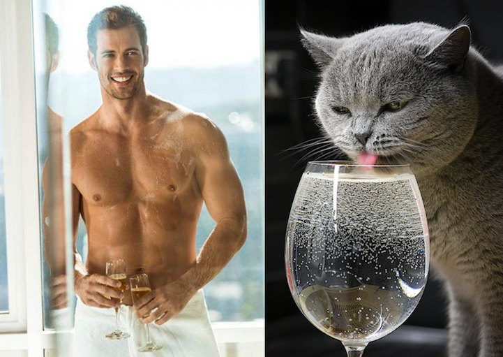 sexy men cute cats 10