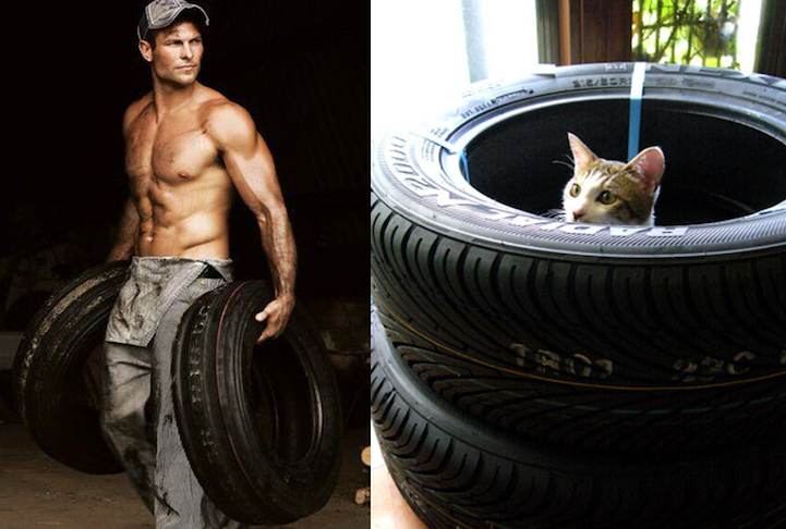 sexy men cute cats 11