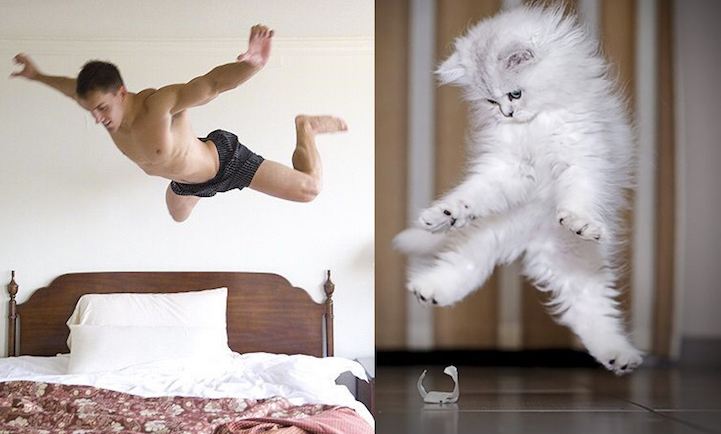 sexy men cute cats 12