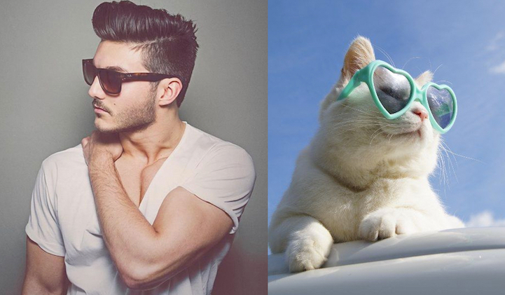 sexy men cute cats 13