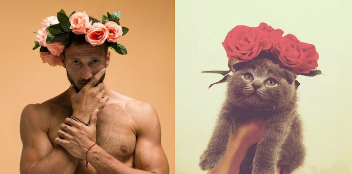sexy men cute cats 14