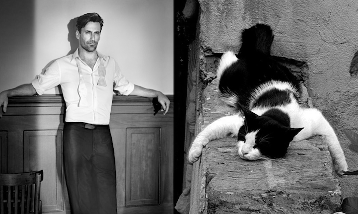 sexy men cute cats 2