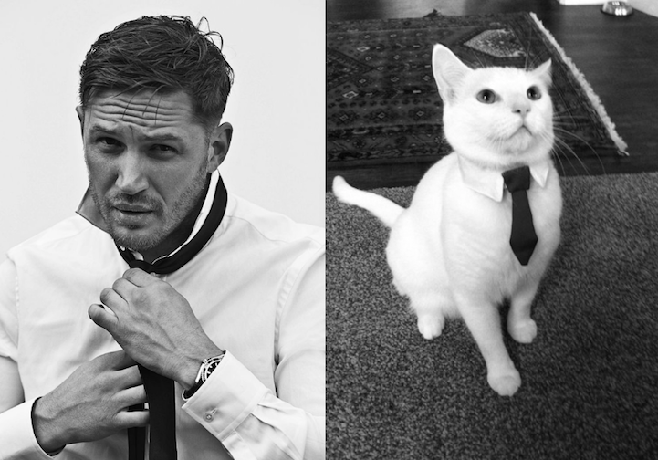 sexy men cute cats 3