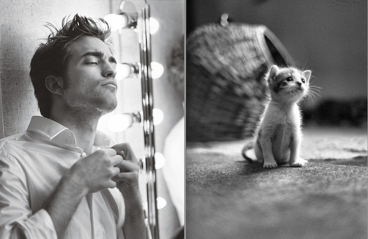 sexy men cute cats 4